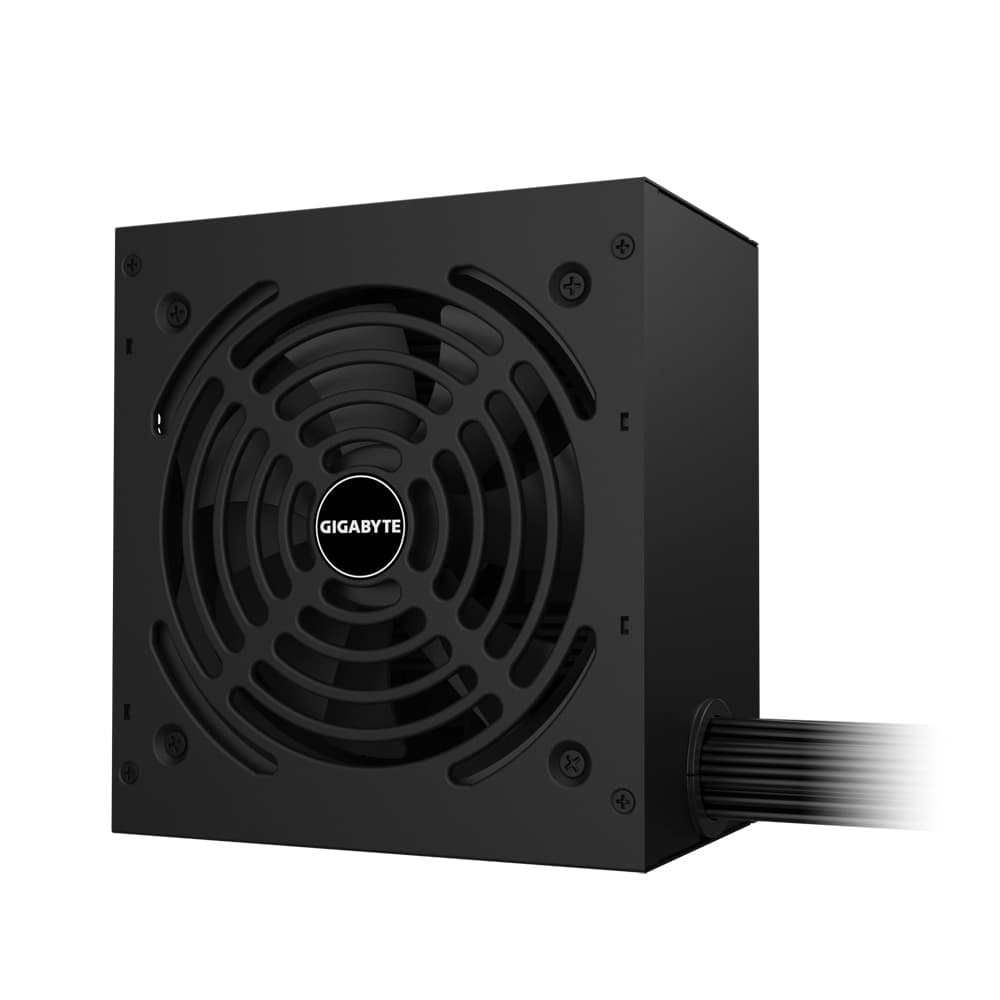 Fuente Gigabyte P650g 80 Plus